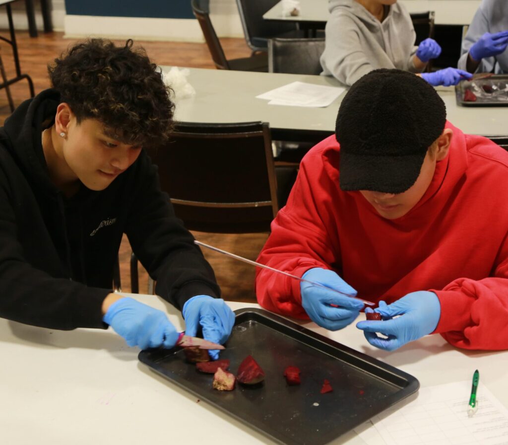 Nothing BEETS science class!