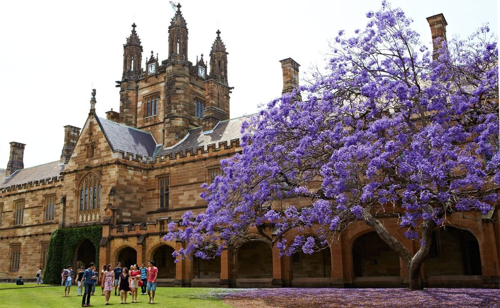 Braemar College on list of approved OSSD schools from University of Sydney